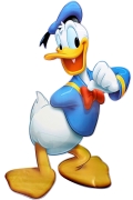 miniatura obrazka z Kaczor Donald Disney